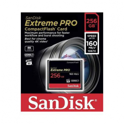 CF SanDisk Extreme Pro 256GB (160 MB/s)