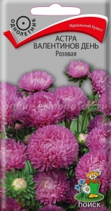 Астра Валентинов день Розовая